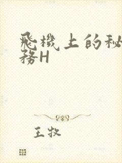 飞机上的秘密服务H