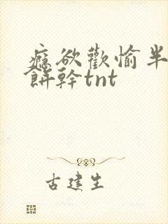 瘾欲欢愉半块小饼干tnt