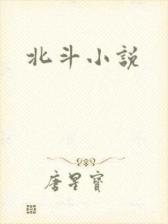 北斗小说