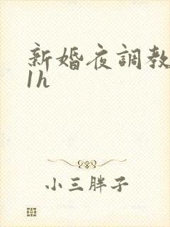 新婚夜调教1v1h
