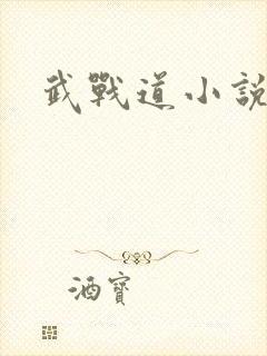 武战道小说