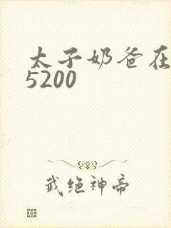 太子奶爸在花都5200