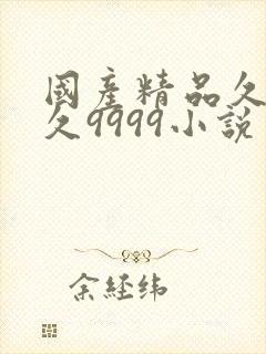 国产精品久久久久9999小说