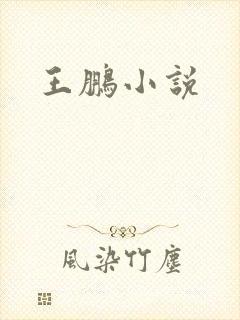 王鹏小说