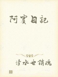 阿宾日记封面
