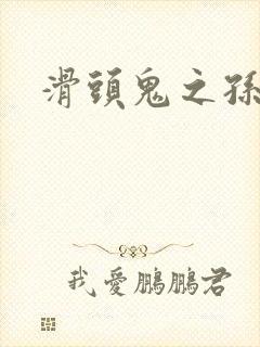 滑头鬼之孙雪女封面