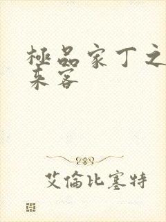 极品家丁之远方来客