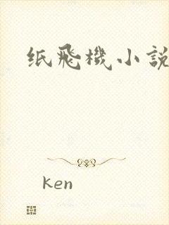 纸飞机小说