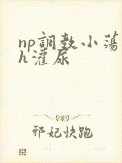 np调教小荡货h灌尿