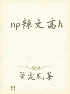 np辣文高h