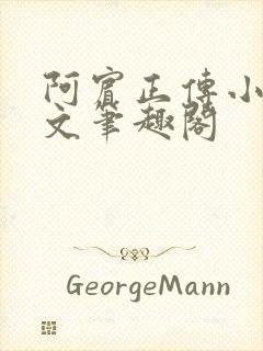 阿宾正传小说全文笔趣阁