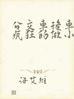 公交车后车座的疯狂的做小