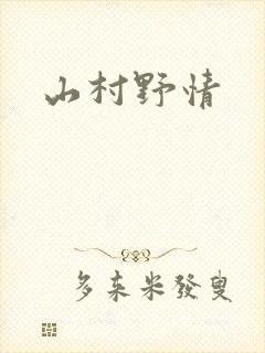 山村野情封面