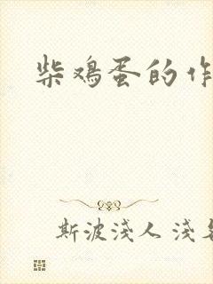柴鸡蛋的作品