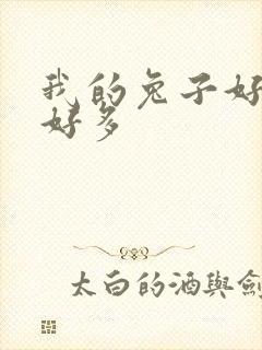 我的兔子好软水好多