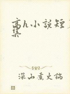 高h小说短篇合集