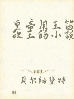 皇帝用玉笛整摄政王的小说
