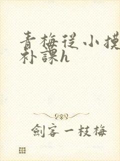 青梅从小摸到大补课h