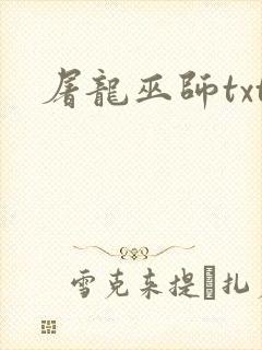 屠龙巫师txt