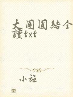 大团圆结全文阅读txt