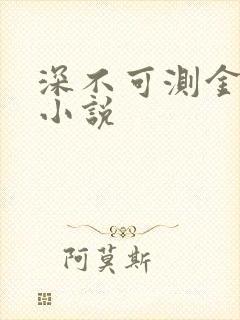 深不可测金银花小说