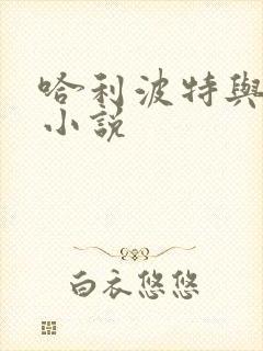 哈利波特与密室小说