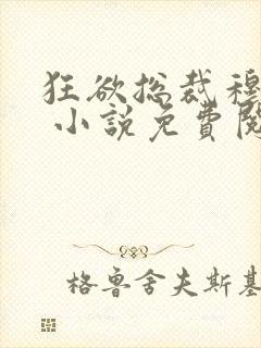 狂欲总裁穆非雪 小说免费阅读