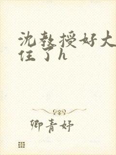 沈教授好大含不住了h