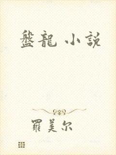 盘龙 小说