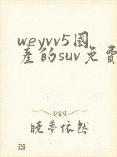 weyvv5国产的suv免费