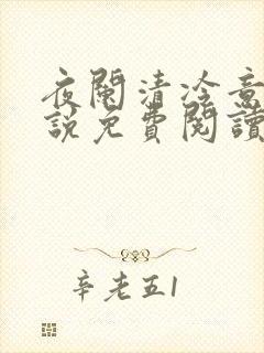 夜阑清冷意欢小说免费阅读