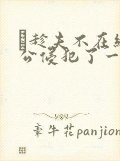 巜趁夫不在给给公侵犯了一天