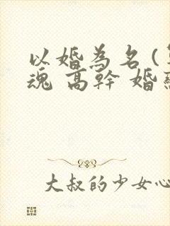以婚为名 (军魂 高干 婚恋)