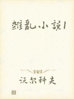 杂乱小说1