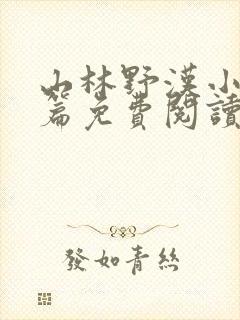 山林野汉小说全篇免费阅读