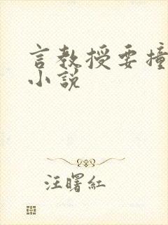 言教授要撞坏了小说