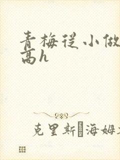 青梅从小做到大高h