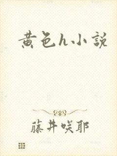 黄色h小说