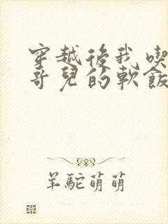 穿越后我吃到了哥儿的软饭炉山灰