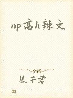 np高h辣文
