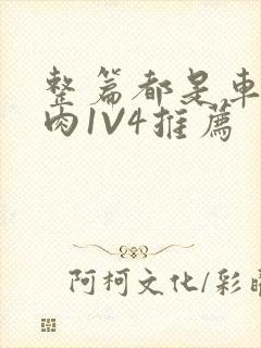 整篇都是车的多肉1V4推荐