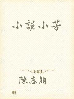 小说小芳