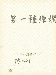 另一种灿烂生活