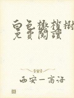 白色橄榄树全文免费阅读