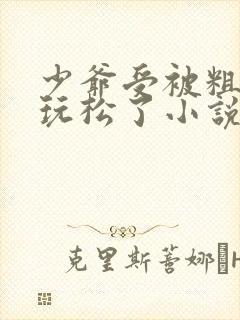 少爷受被粗汉H玩松了小说