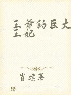 王爷的巨大进入王妃