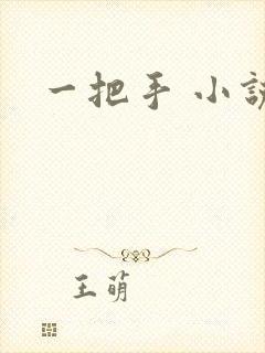 一把手 小说