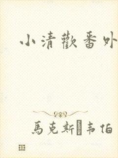 小清欢番外