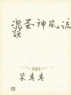 混蛋神风流史小说