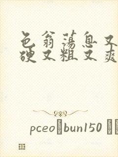 色翁荡息又大又硬又粗又爽小莹